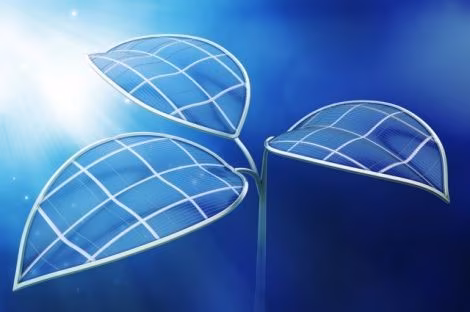 022467-470-harvard_foglia_bionica