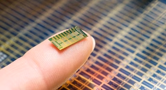 microchip contraccettivo