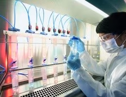 Trapianto-staminali-eta