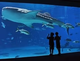 Acquario-di-Genova-04