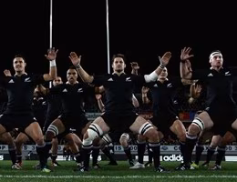 New Zealand v Ireland