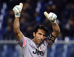 buffon