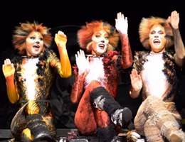 Cats-The-Musical-598x350