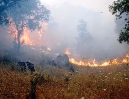 Incendio-sterpaglie fuoco