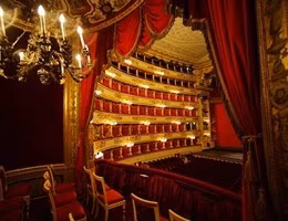 social_palchi_della_scala_milano_res
