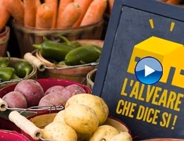 alveare prodotti bio