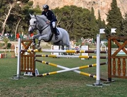 salto-ostacoli equitazione