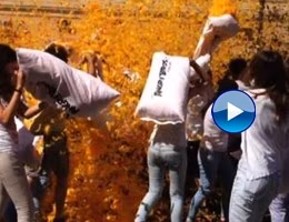 flash mob angry birds