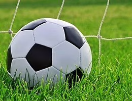 palla calcio rete