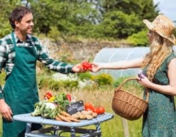 spesa ortaggi contadino