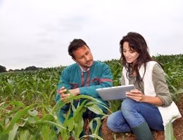 agricoltura lavoro giovani