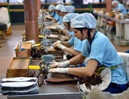 industria stabilimento lavoro