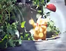 pokemont