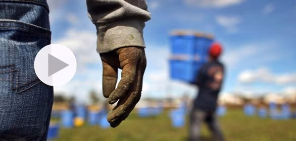 caporalato contadini