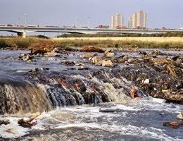 inquinamento ambiente