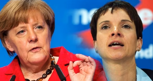 merkel petry