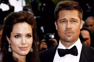 angelina_jolie_22_2008_ansa