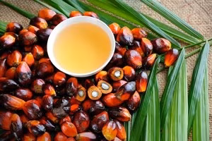 olio-di-palma