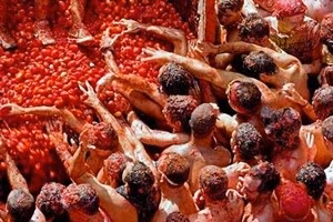 tomatina