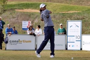 lo-svedese-johan-edfors