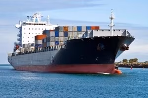 export-import-naveok