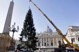 albero-san-pietro