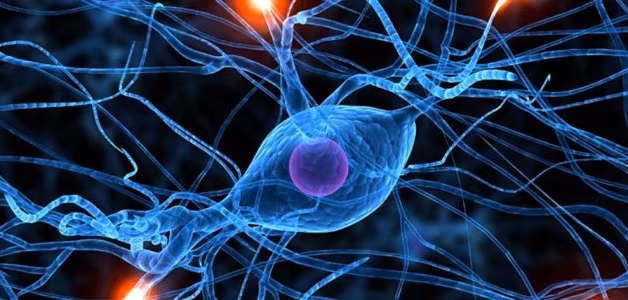 aktive nervenzelle
