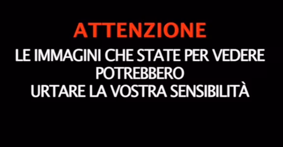 capture-20170817-221935