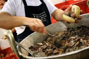 milza_street_food_palermo_N