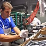 lavorogiovaniofficina