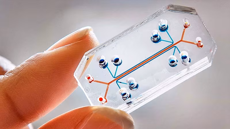 Lab-on-a-Chip