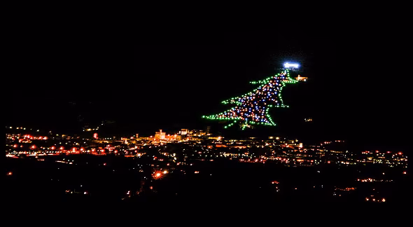 albero.gubbio.articolo2