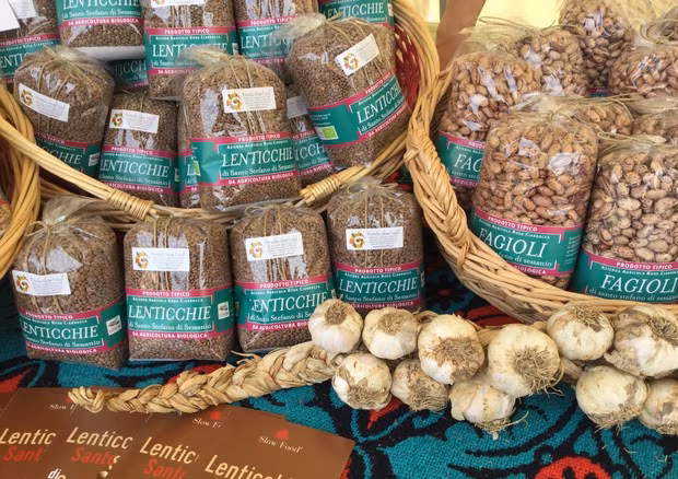lenticchia di Altamura