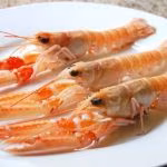 scampi