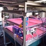 19 Missione Amadee-18