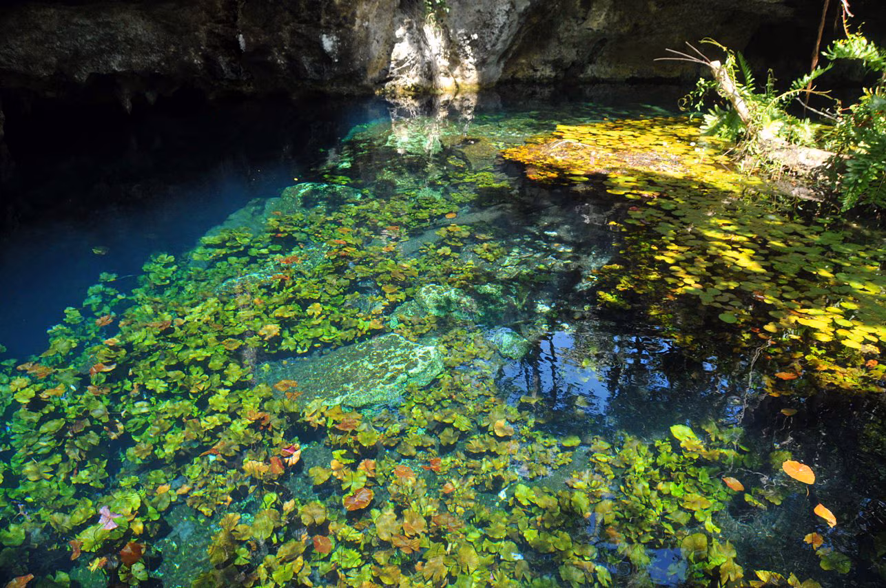 Grand_Cenote_20101006