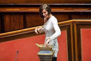 Salvini spiazza Fi e vota la senatrice Bernini