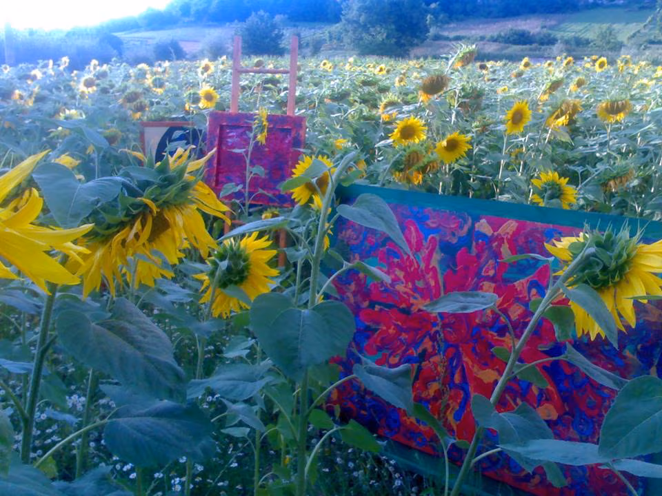 COPERTINA ARTICOLO Armonia