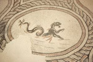 VMS_triclinio_dettaglio_10