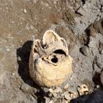 Teschio del fuggiasco (1)