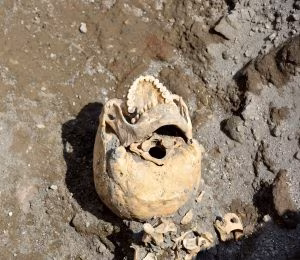 Teschio del fuggiasco (1)