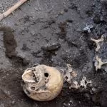 Teschio del fuggiasco (5)