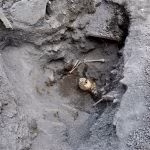 Teschio del fuggiasco (9)