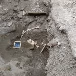 Teschio fuggiasco -1