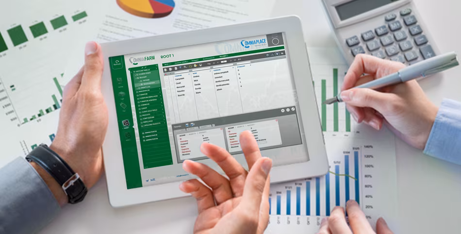 progetti_immagineindaginiricercalavoro