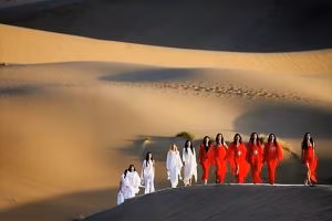 Pierre_cardin_2007_8.t_640_0 (2)