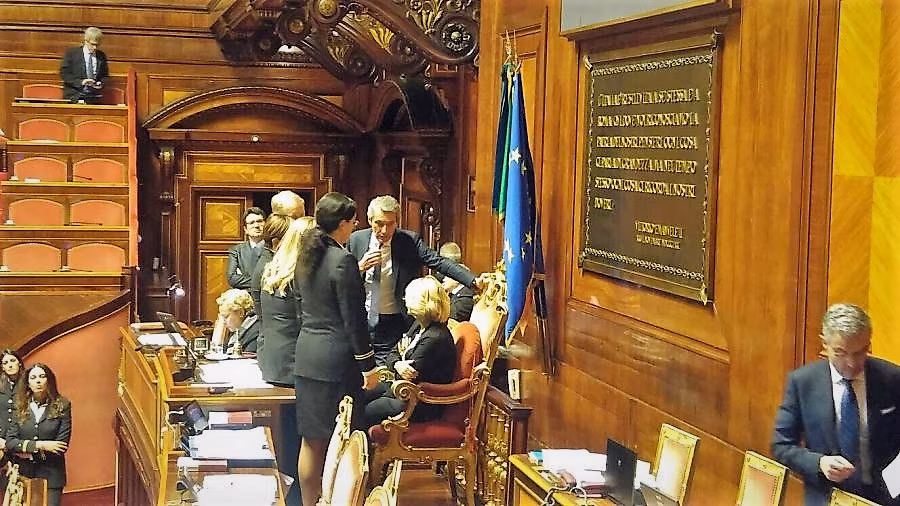 senato (2)