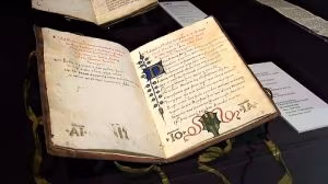 Tutela e cultura per tutti