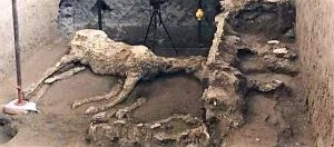 cavallo-pompei