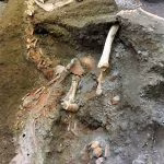 terzo_cavallo_civita_xgiuliana-